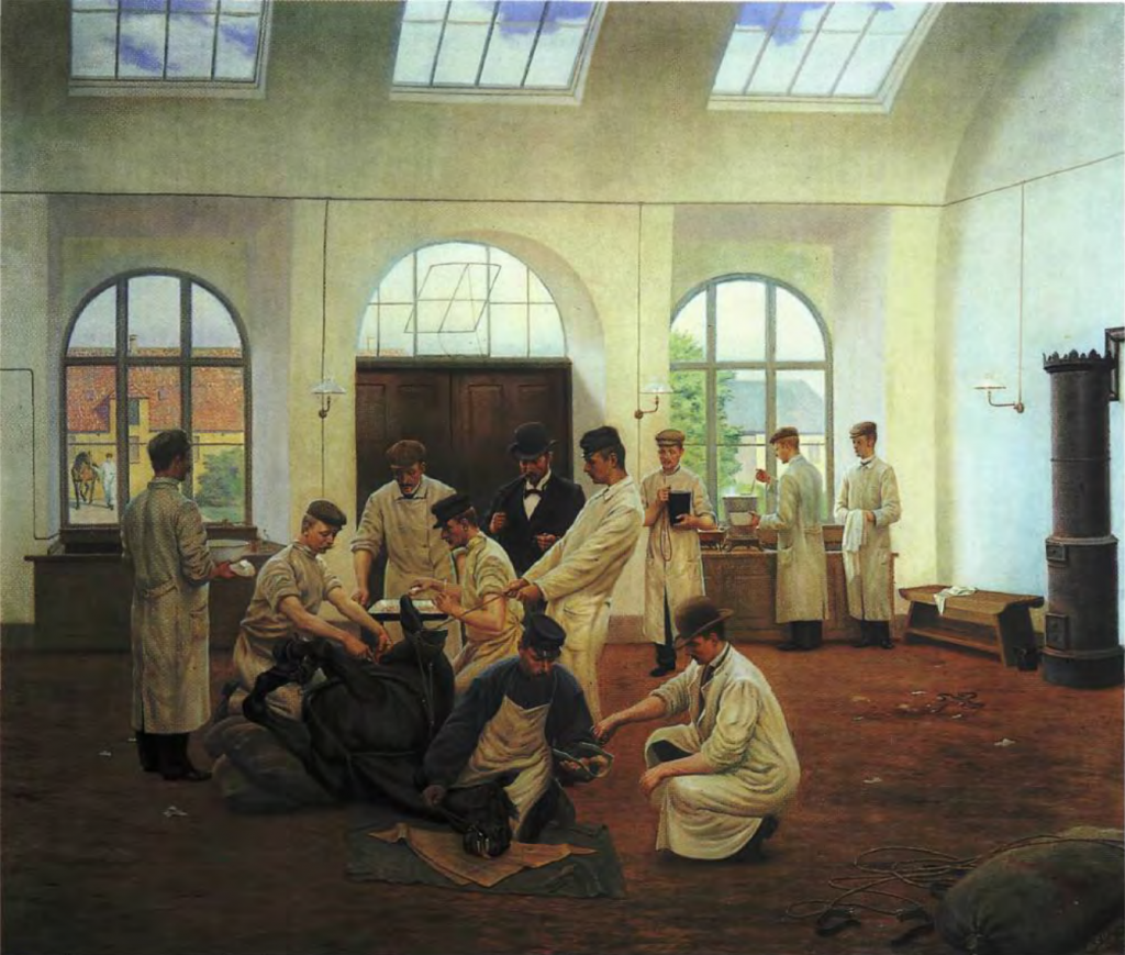  Operation in the surgery clinic. Gustav Adolph Klemens, 1898. Sigurd Keilgaard is pictured restraining a horse with a rope during surgery.